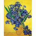 Various - PIC21