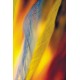 Frunze - PH165